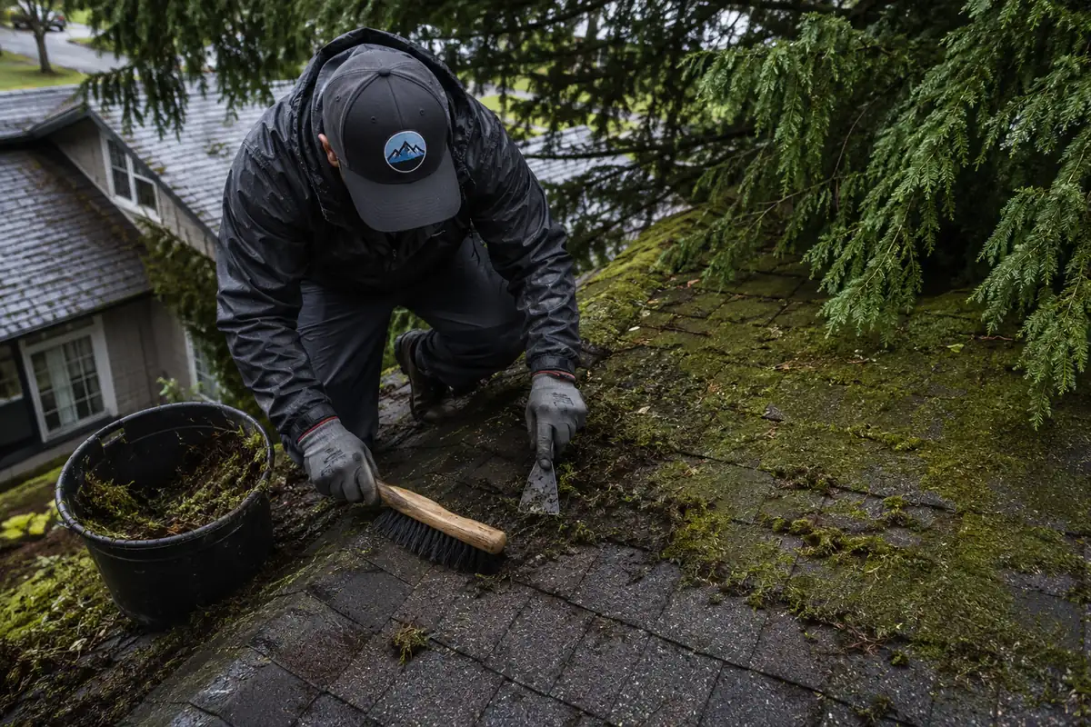 Roof Moss & Algae Treatment underway on a property in Everett, WA